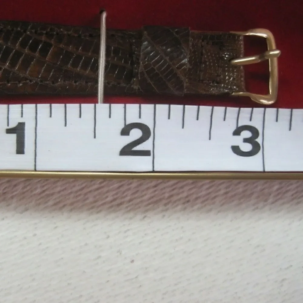ELECTRONICALLY TIMED Watch Band Strap Switzerland